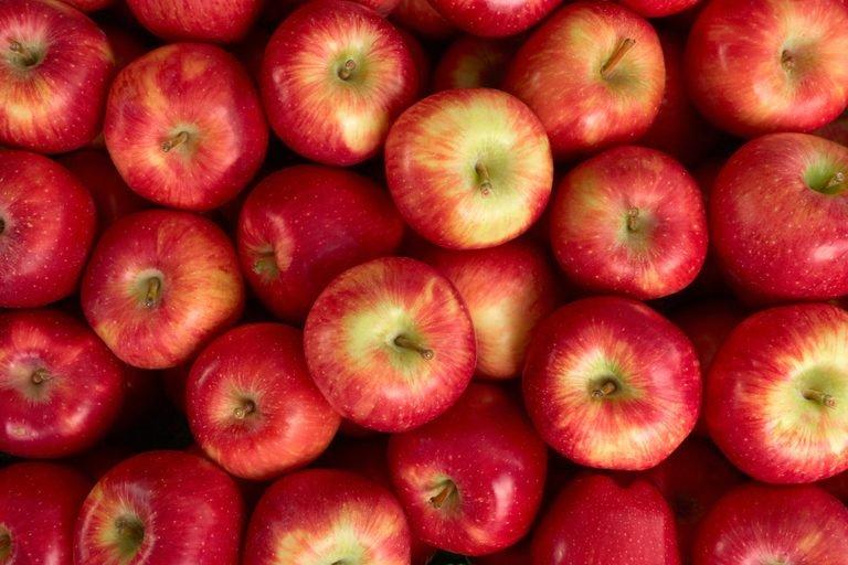Supermarket apples can be a year old