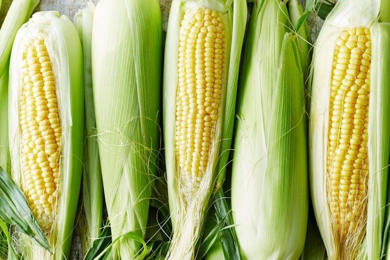 Before toilet paper was invented, Americans used to use corn cobs