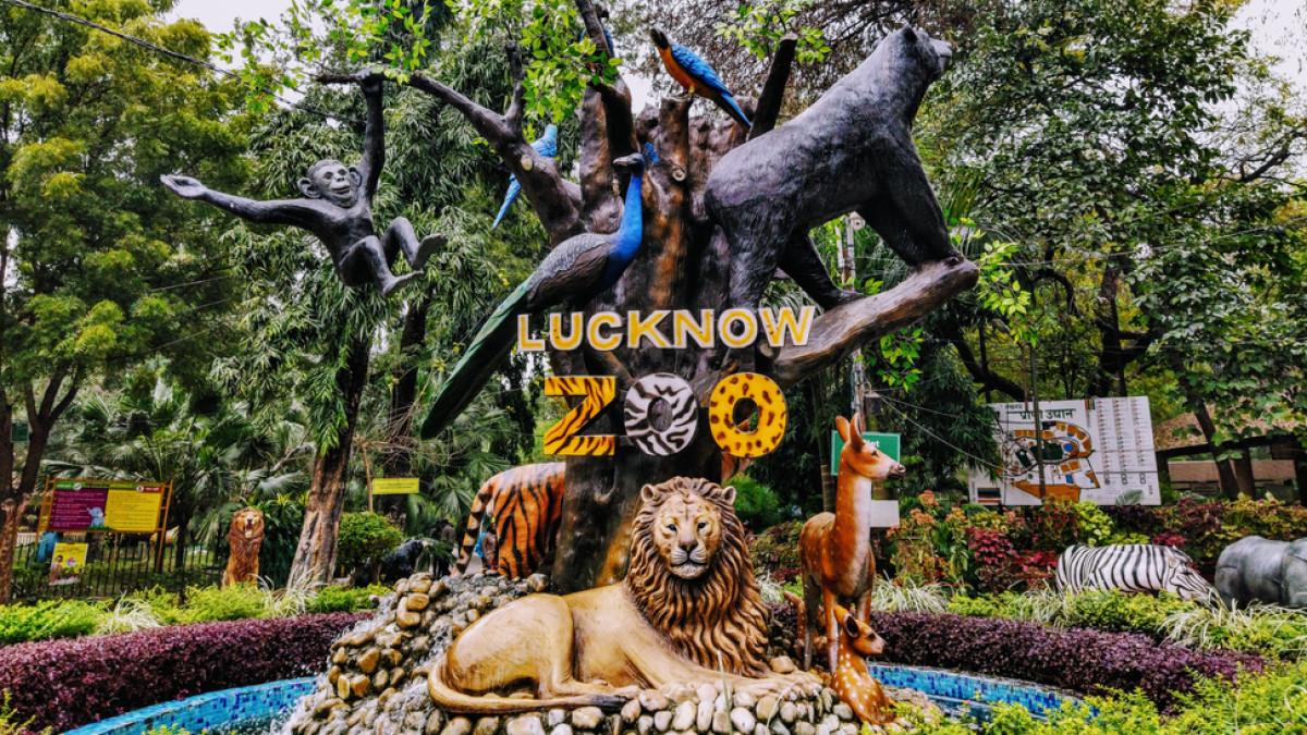 Lucknow zoo