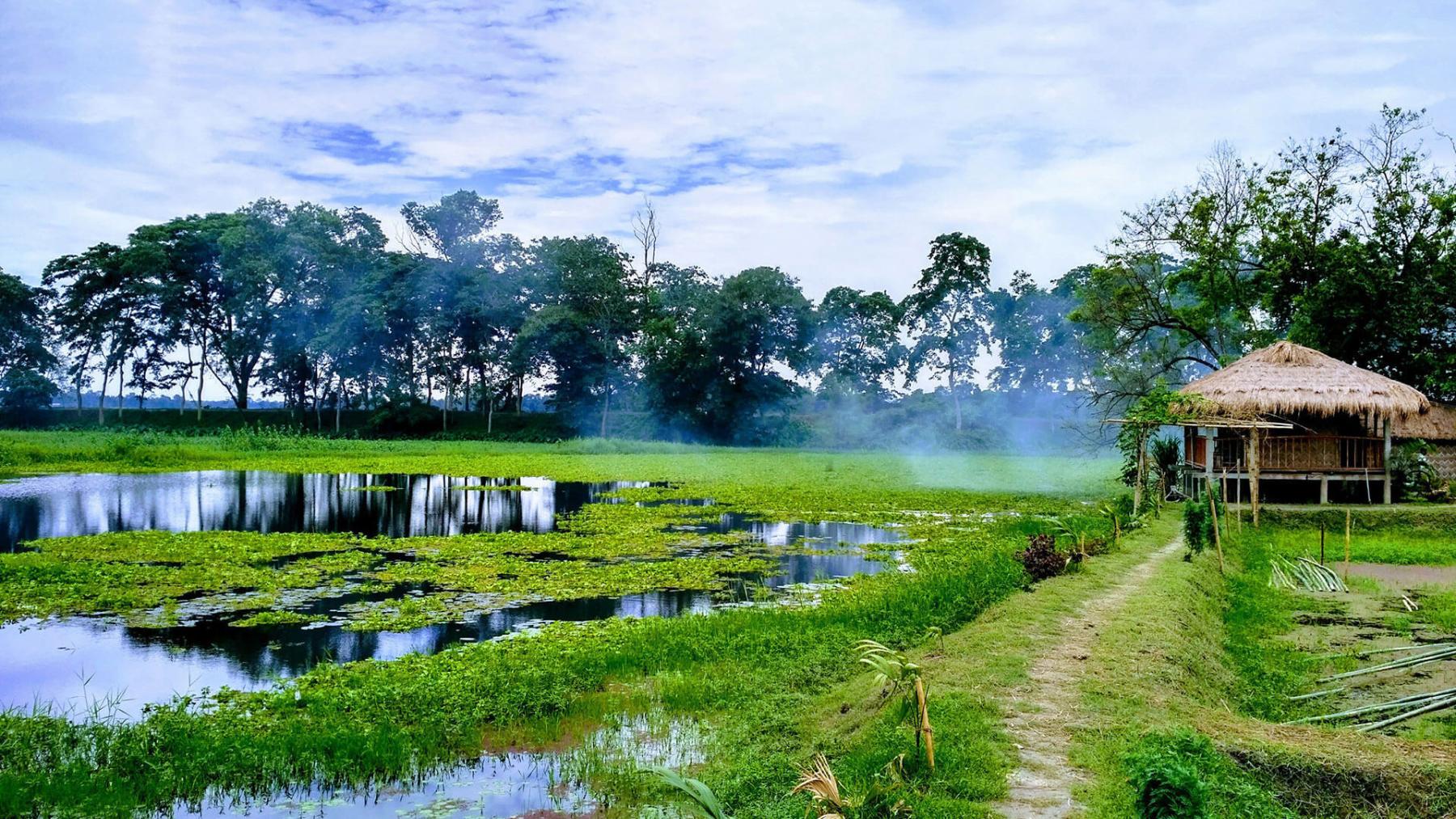 MAJULI ISLAND, Assam Majuli