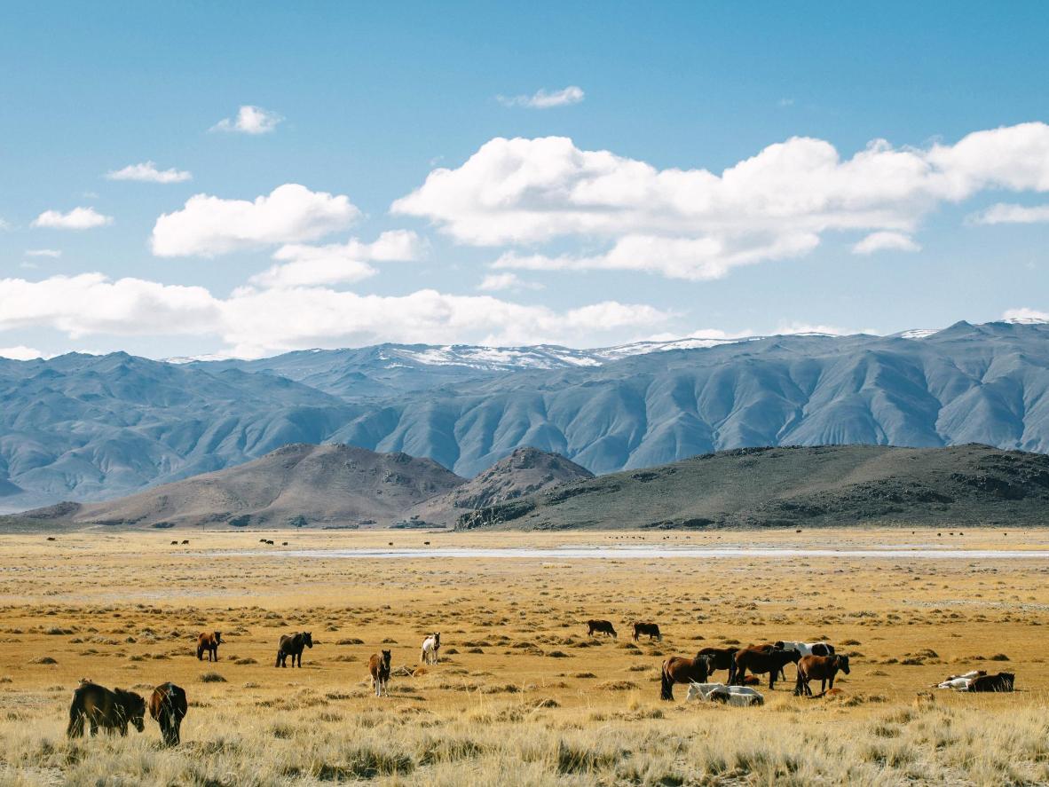 Mongolia has the world's most minimal population.