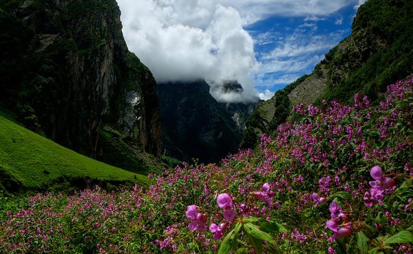 NANDA DEVI BIOSPHERE, Uttarakhand