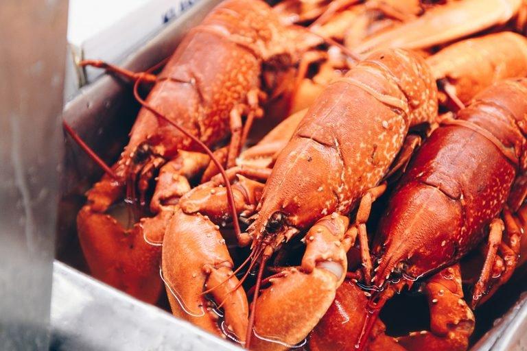 Lobsters taste with their feet
