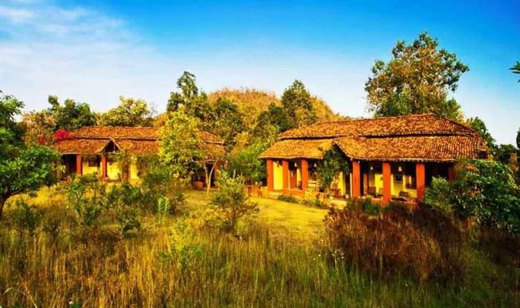 Bhoramdeo Jungle Retreat: A Rural Homestay in the Heart of India