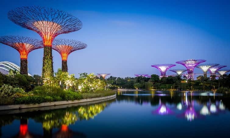 Gardens by the Bay- Must Visit Attraction in singapore 