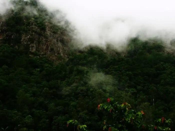 Silent Valley National Park 