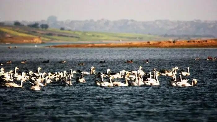 Chambal River Basin, Places in india you are not allowed to Visit 