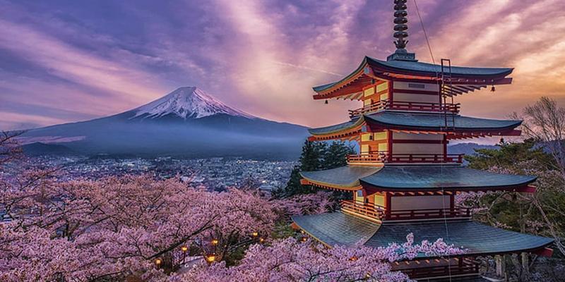 21 Top-Rated Tourist Attractions in Japan