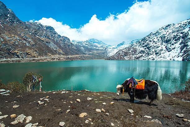 Gangtok itinerary : Gangtok North Sikkim Itinerary 