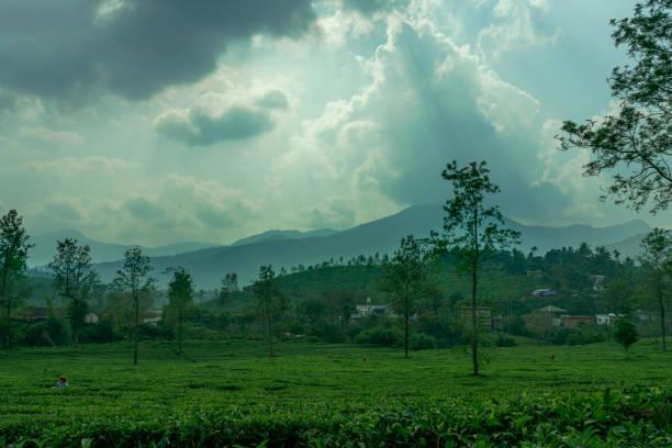 Wayanad- Best Road Trip Destination 